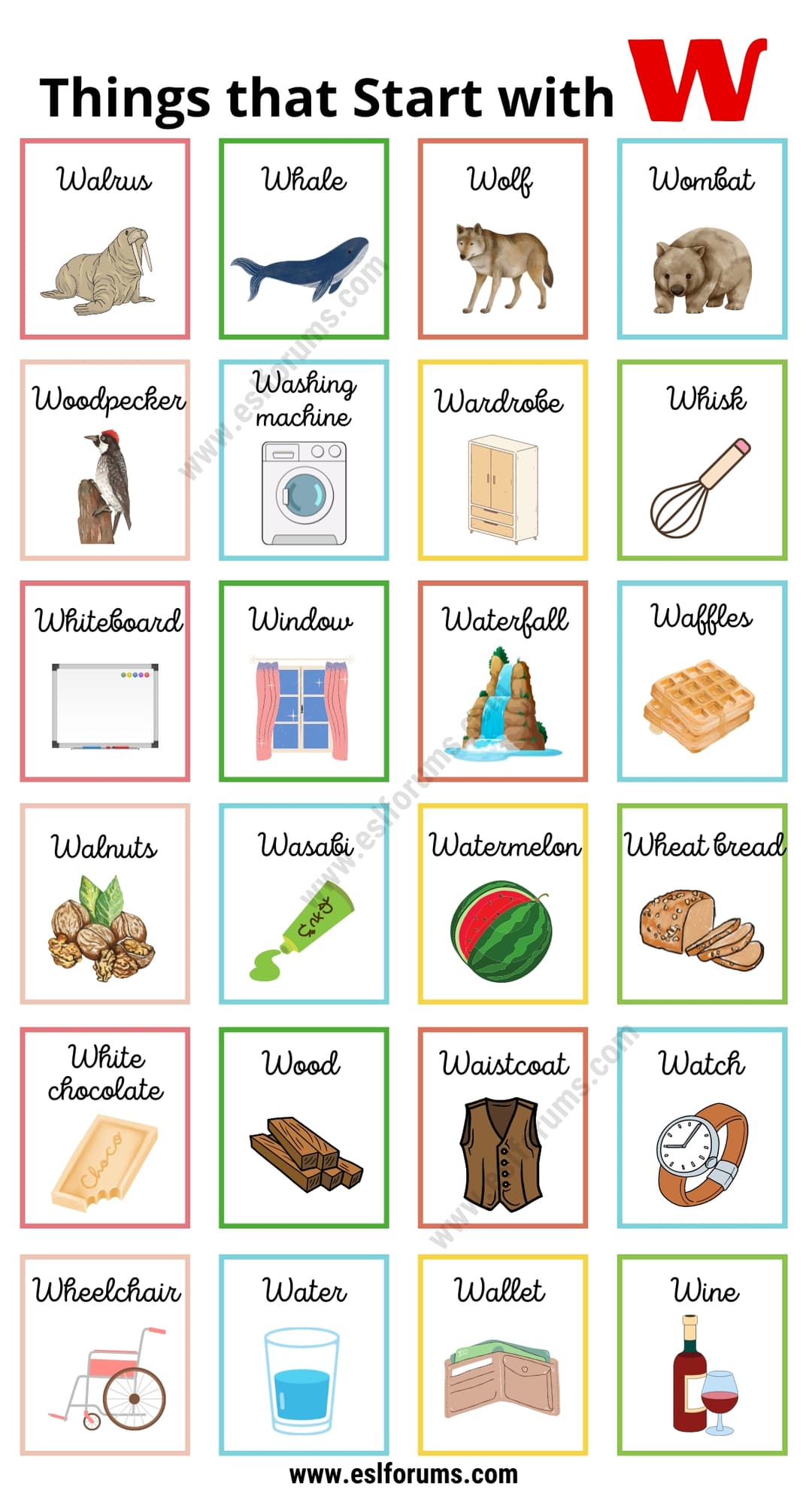 120 Interesting Things that Start with W | W Things for Kids