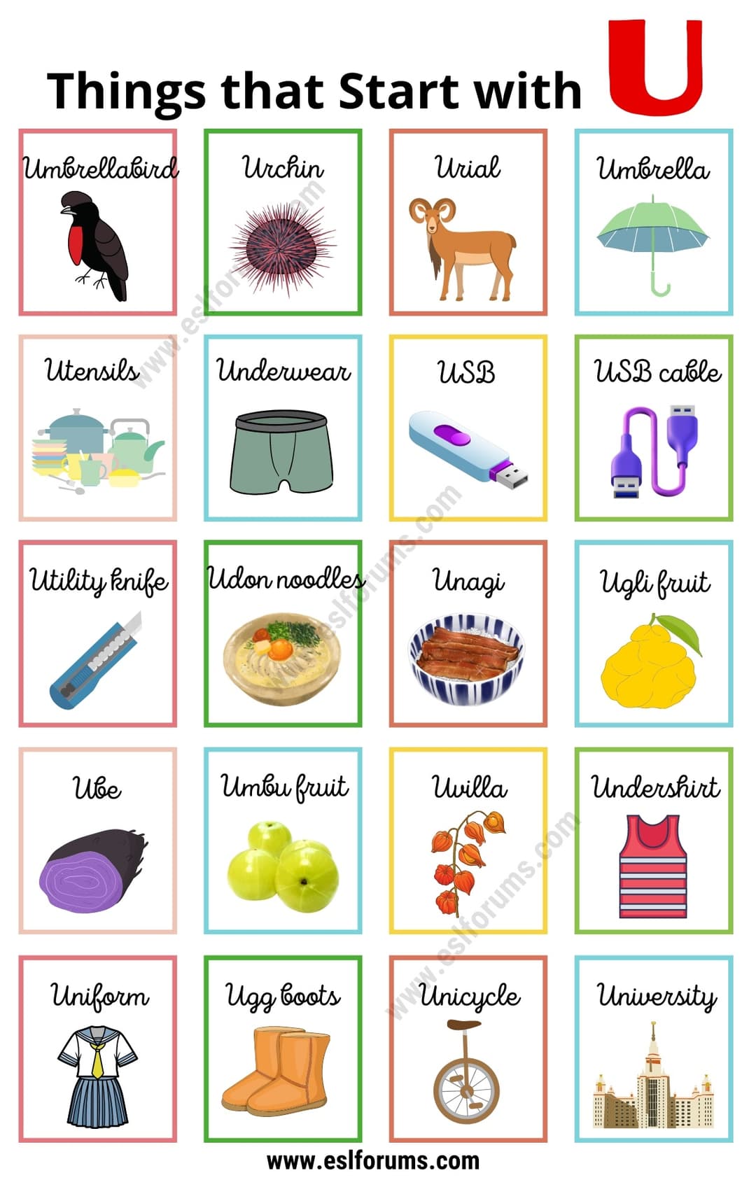 120 Unique Things that Start with U in English